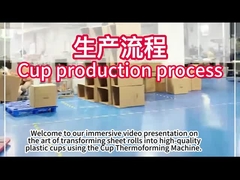 PLC-Thermoformmaschine für Kunststoffe mit 750*500 mm Formfläche