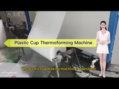 Vollautomatische Plastik-Tee-Tasse Thermoforming-Maschine
