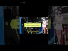 Hocheffiziente und energiesparende Einwegmaschine zur Herstellung von Kunststoffplatten und -bechern