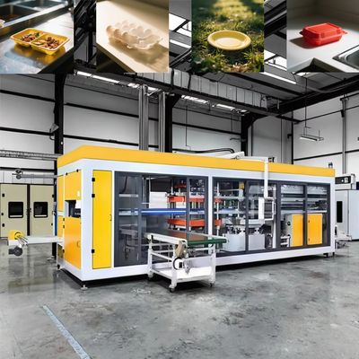 Vollautomatische Thermoformmaschine für Plastik-Kartons zum Mitnehmen