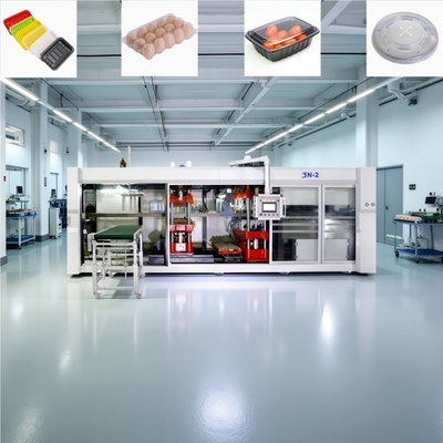 PLC-gesteuerte Kunststoff-Eierbehälter-Herstellungsmaschine